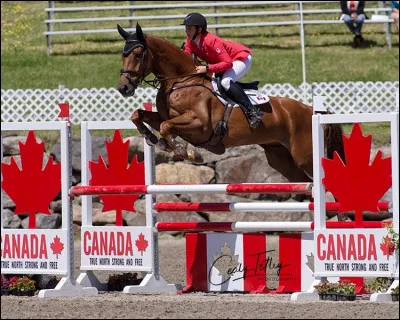 Pourrais-tu me donner le nom de cet obstacle ?
