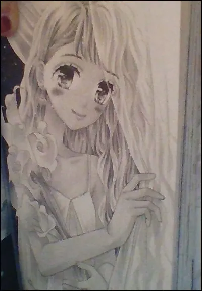 Quel restaurants préfères-tu ?