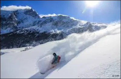 Attrapez le chat pour le remettre dans le chalet avant qu'il soit gel&eacute; ! C'est bon, vous l'avez ?