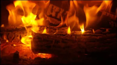 Quel est ton élément préféré ?