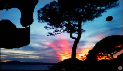 Ton élément préféré est :