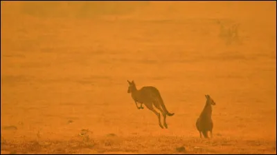 C'est la capitale de l'Australie.