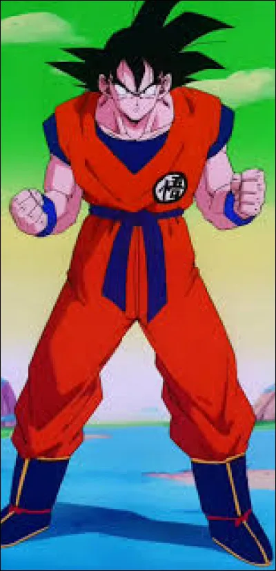 Pourquoi Goku ne part-il pas tout de suite sur Namek ?