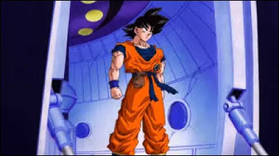 Qui ne voit pas Goku atterrir sur Namek ?