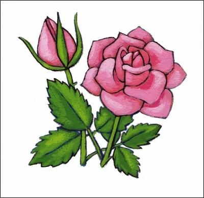 Mes feuilles sont toutes tachées ! Qu'est-ce que j'ai ?