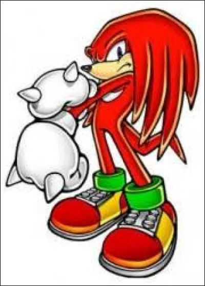 Quelle sorte d'animal est Knuckles dans "Sonic" ?