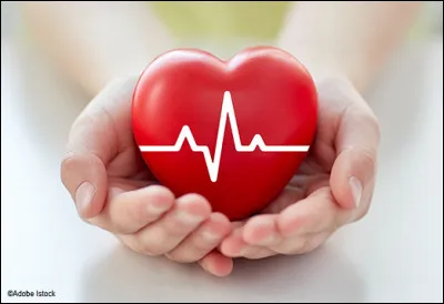 Ton copain de rêve doit être...