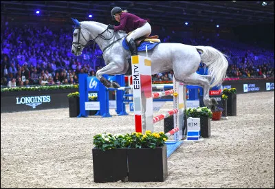 Quels sont les principaux composants de la litière ?