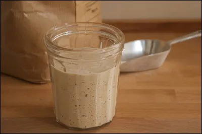 Quelle est la composition du levain naturel ?