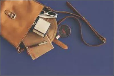 Dans mon sac, il y a le plus souvent :