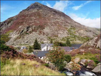 Quelles libertés fondamentales sont garanties par l'article 10 de la Convention européenne des Droits de l'Homme, adoptée au sein du Conseil de l'Europe ?
