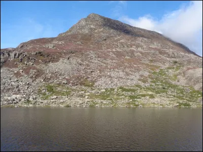 Sur quelle île de la baie de New York la Statue de la Liberté a-t-elle été érigée ?
