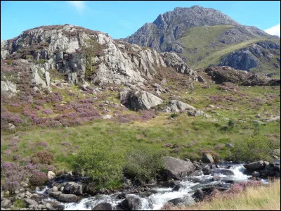 Que fonda et présida le célèbre milliardaire québécois Guy Laliberté qui fit sa célébrité ?