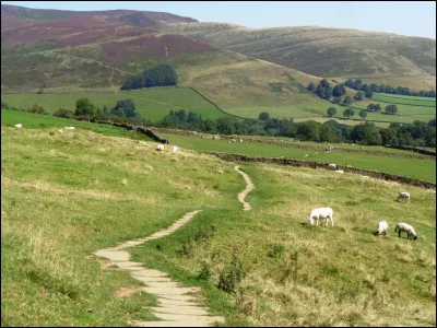 Complétez le titre de cette comédie sortie en 1985 et réalisée par Jean Yanne : "Liberté, Égalité, ...".