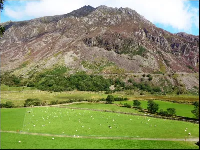 À quelle tendance politique le "Parti de la Liberté d'Autriche" ou FPÖ selon son acronyme, appartient-il ?