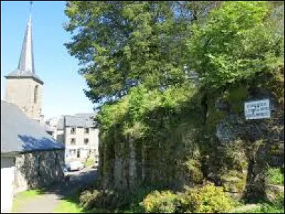 Nous sommes en Auvergne-Rhône-Alpes, à La Tour-d'Auvergne. Commune établie sur le versant ouest du massif du Sancy, elle se situe dans le département ...