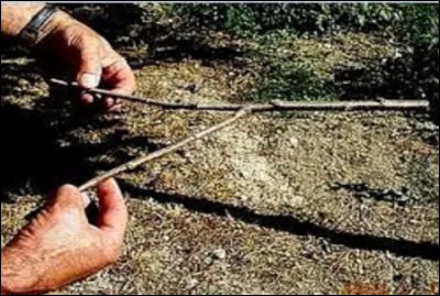 Quel bois les sourciers utilisaient-ils en général pour rechercher les eaux souterraines?