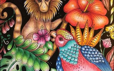 Quiz Illustrations