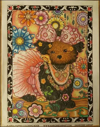 Qui a créé "Petit Ours brun" ?