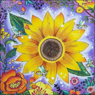 De quel personnage réel s'est inspiré inspiré Hergé pour créer "Le professeur Tournesol" ?