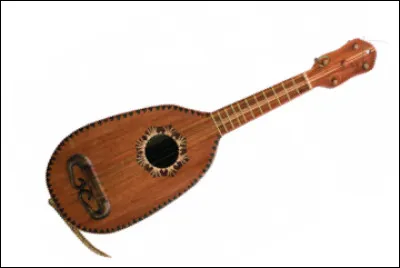 Quel est cet instrument mexicain à cordes pincées ?