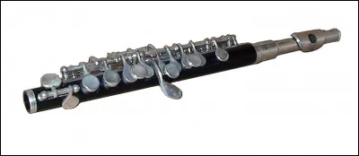 Quel est cet instrument à vent de petite taille de la famille des flûtes traversières ?