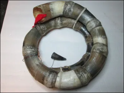 Quel est cet instrument, une trompe du Pérou d'origine indienne fabriquée avec des cornes de bovins ?