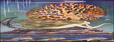 Quelle en est leur particularité ?