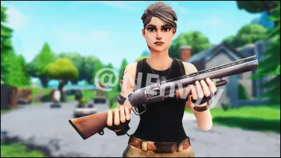 Quel est ce skin ?