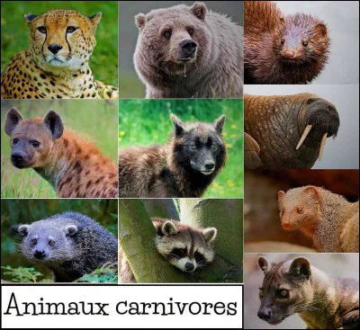 Quel animal chasserais-tu ?