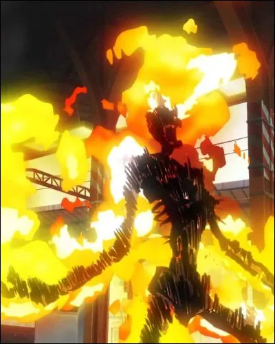 Quel est le nom des personnes qui meurent en s'enflammant ?