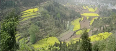 Comment dit-on " ; au revoir" ; en japonais ?