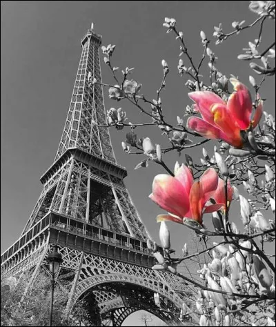 Vers quelle année Lutèce a-t-elle pris le nom de Paris ?