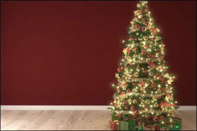 En anglais, ce mot est Christmas tree.