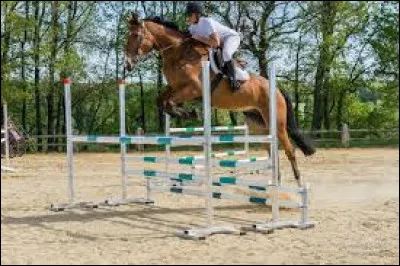 Comment appelle-t-on cet obstacle ?