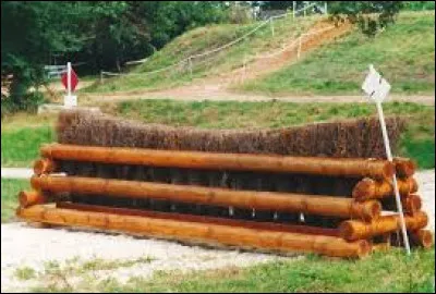 Comment appelle-t-on cet obstacle ?