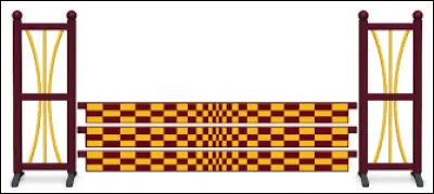 Comment appelle-t-on cet obstacle ?