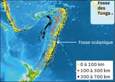 Avec 10 882 mètres de profondeur, quelle place occupe la fosse des Tonga dans le classement des fosses les plus profondes de la planète ?
