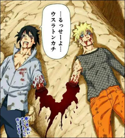 Le plan de Naruto et Sasuke repr&eacute;sente ?
