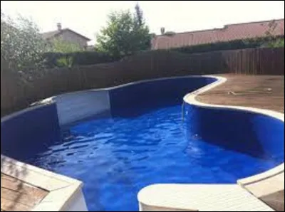 Qui chantait ''Pull marine'' de Serge Gainsbourg en 1983 ?