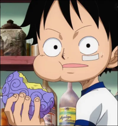 Quel est le nom du fruit du démon de Luffy ?