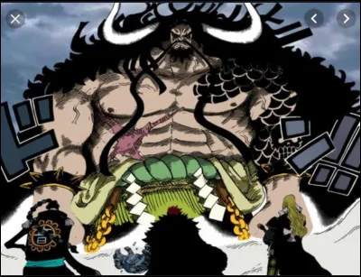 Quel est le nom du fruit du démon de Kaido ?