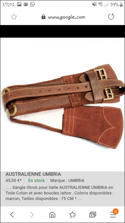 Comment s'appelle la sorte de ceinture pour attacher la selle au dos du cheval ?