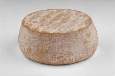 Quel est ce fromage à pâte persillée de couleur brique à base de lait de chèvre cru fabriqué au Languedoc?