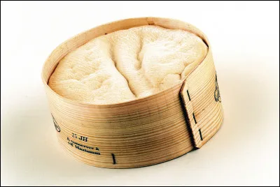 Quel est ce fromage au lait de vache à pâte molle, crémeux, tendre et doux à la fois ?