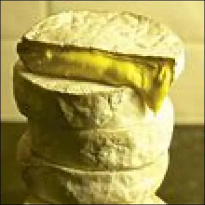 Quel est ce fromage anglais à base de lait de vache cru à pâte molle et à croûte fleurie, dont le nom évoque un mauvais souvenir pour les Français ?