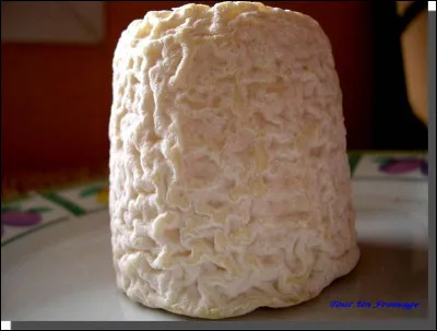 Quel est ce fromage de chèvre produit dans le Deux-Sèvres ?