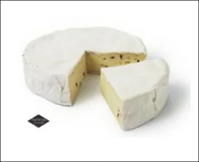 Quel ce fromage allemand au lait de chèvre à pâte molle ?