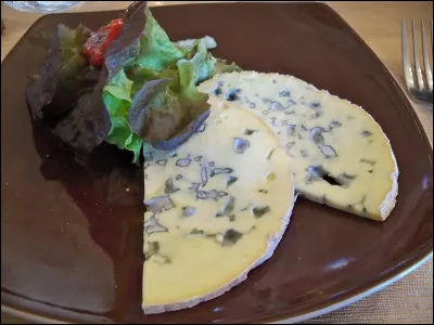 Quel est ce fromage à base de lait de vache à pâte persillée et à croûte sèche et fleurie ?