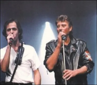 Qui chante "Diana" ?